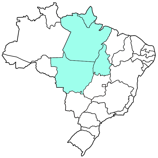 Amapá, Pará, MAto Grosso e Tocantins