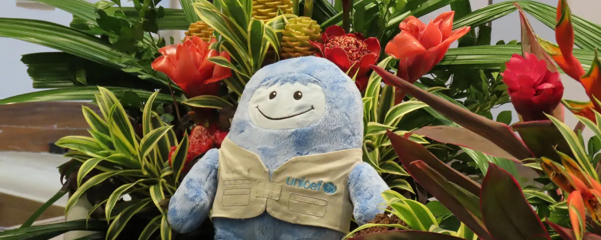 Créditos: Rayane Pizon