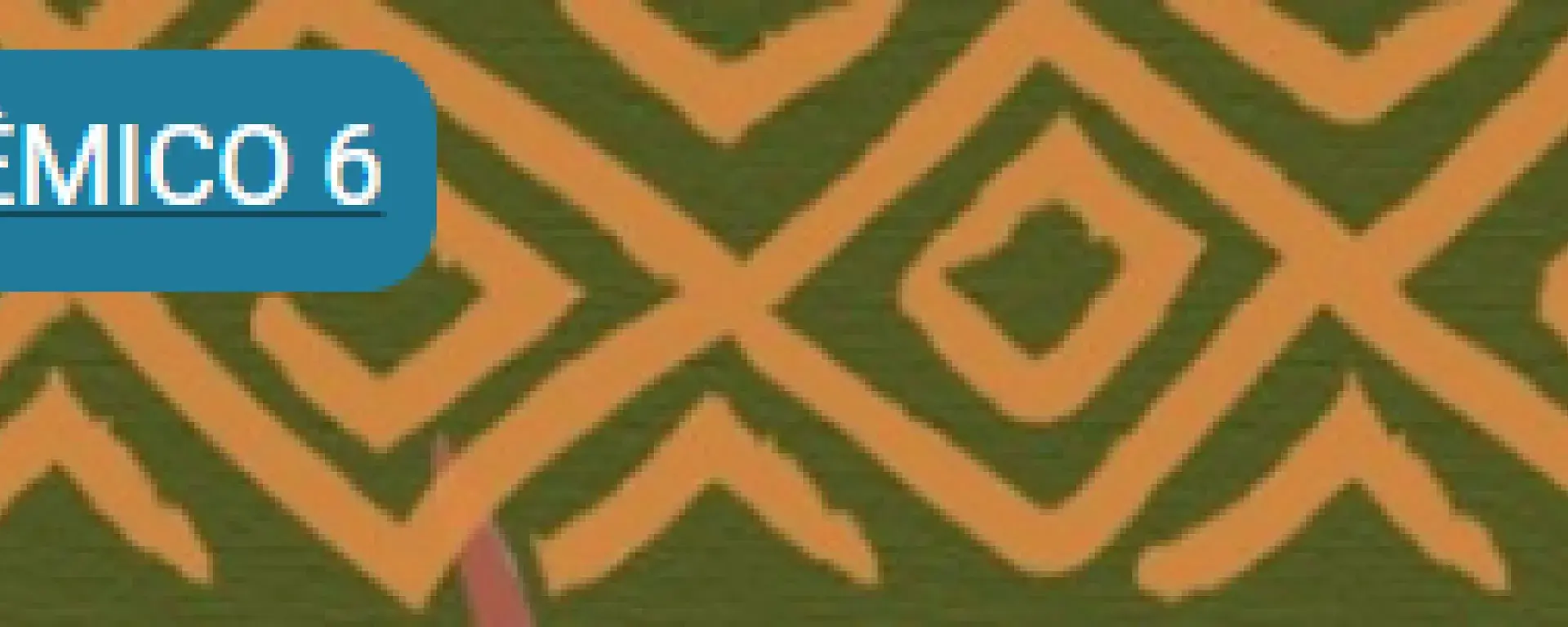 Imagem mostrar um banner com grafismos indígenas, no alto o título Resultado Sistêmico 6