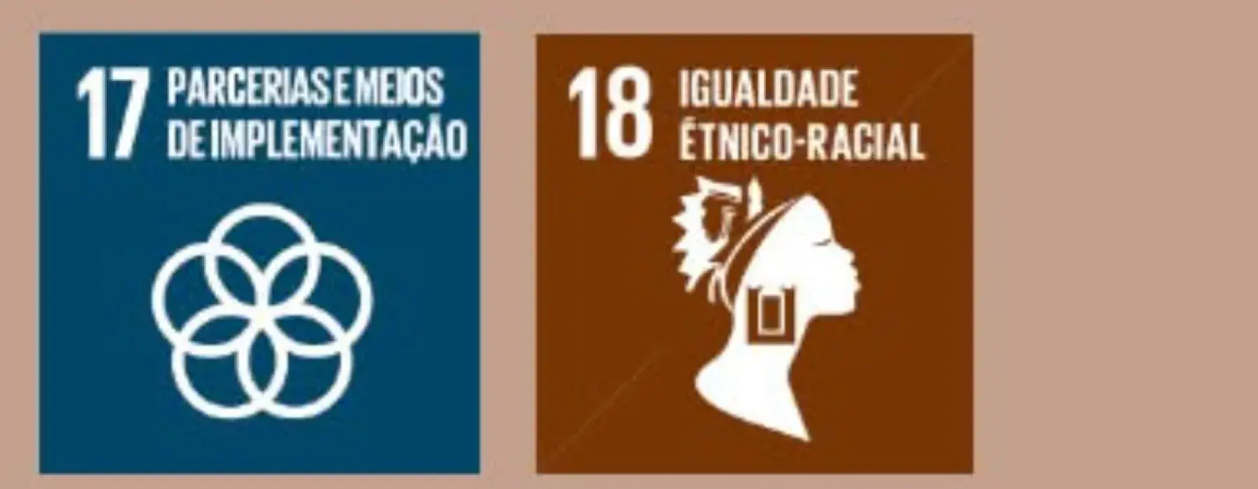 ícones dos objetivos de desenvolvimento sustentável (ODS) 16,17,18