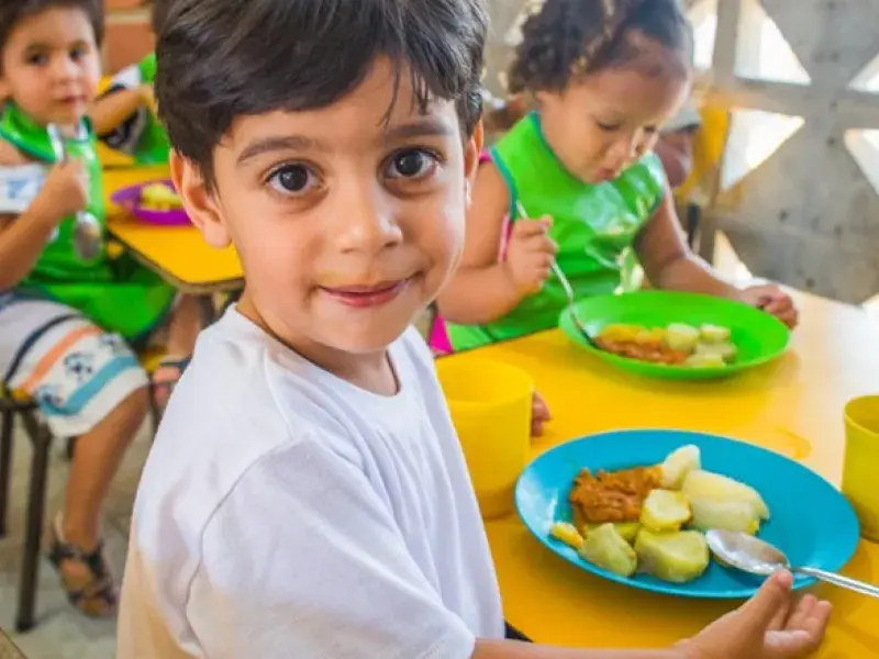 Alimentação Saudavel