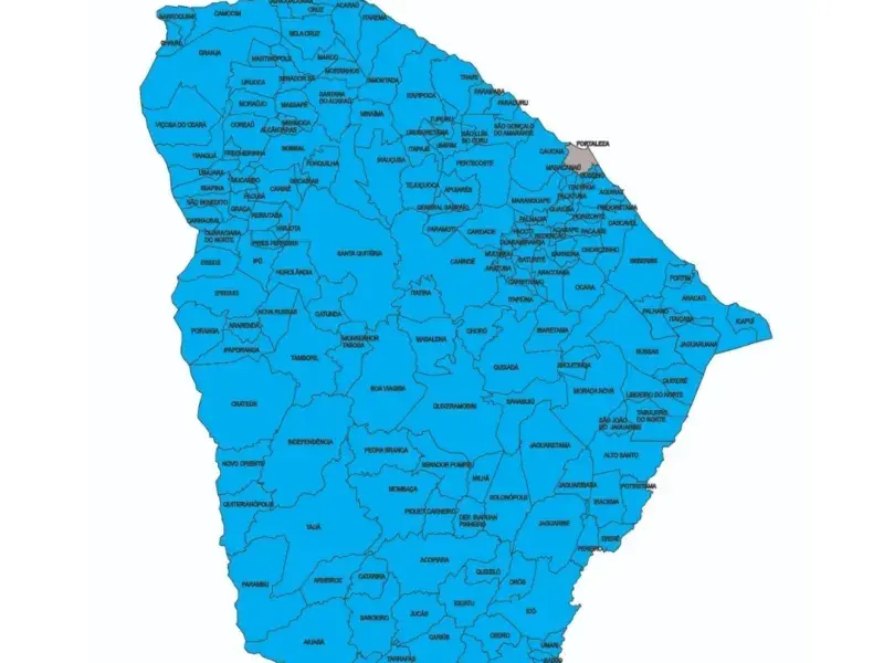 Ceará conclui com 100% de realização o 1º Fórum Comunitário do Selo UNICEF