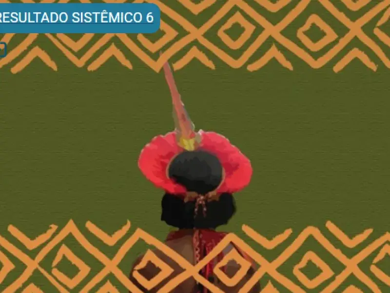pessoa indígena, usando um adereço de cabelo, está de costa olhando o horizonte. Ao fundo tom azul e título resultado sistémico 6 