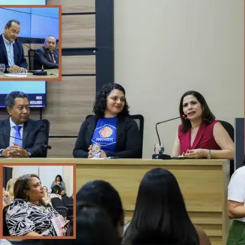 Duas palestrantes falam ao microfone