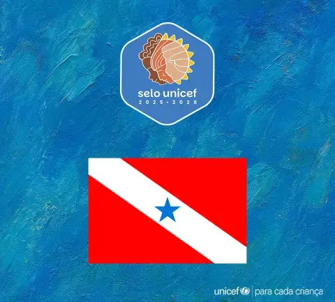 Capacitação do Selo UNICEF Resultado Sistêmico 2 PA