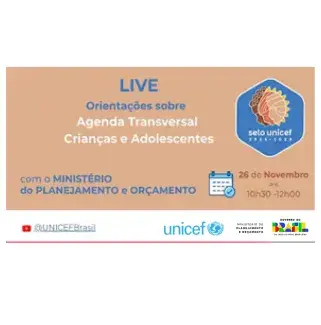 Webinário de orientação sobre como incluir a Agenda Transversal dos Direitos de Crianças e Adolescentes nos Plano Plurianuais (PPAs) municipais.