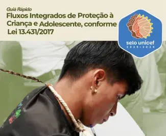Guia Rápido de Fluxos Integrados de Proteção à Criança e ao Adolescente (Lei nº 13.431/2017)