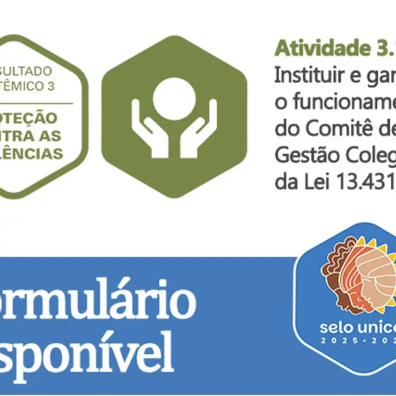 Novo documento disponível: Formulário sobre status de implementação da Lei da Escuta Protegida (RS 3 – Proteção Contra as Violências)